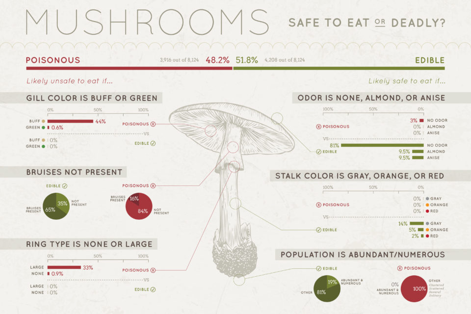 mushroom infographic